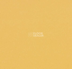 Линолеум Forbo Modul'up Compact Colour 4805UP43C golden stardust фото 1 | FLOORDEALER